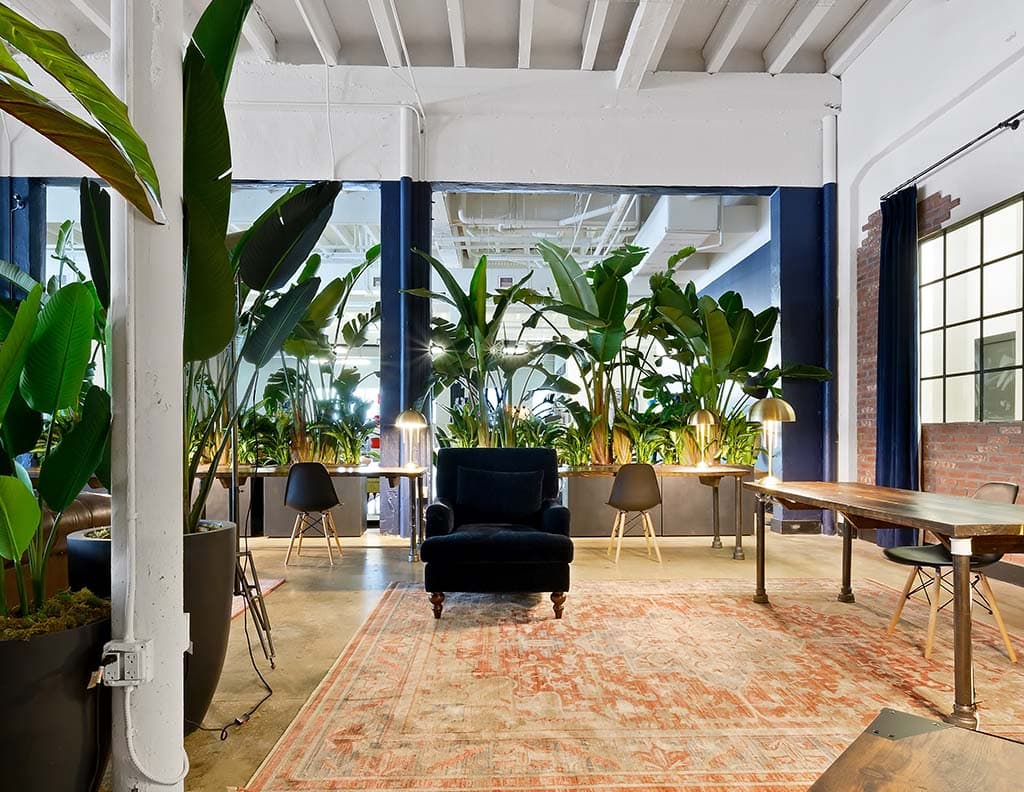 flexible coworking space in miami ampersand studios